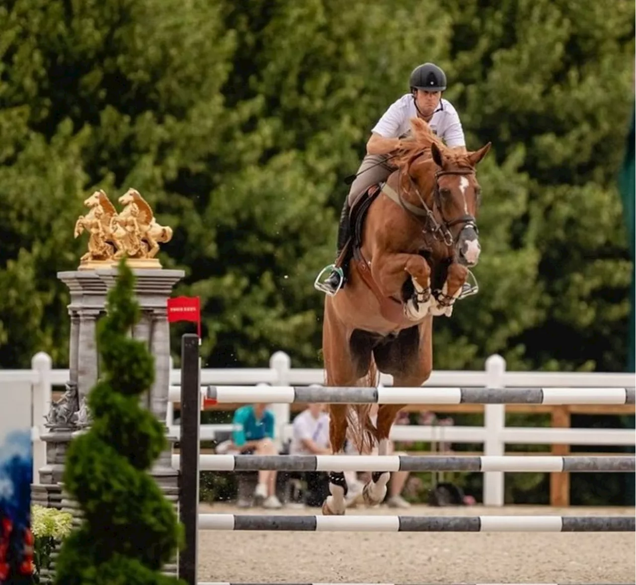 Paris-2024: equipe de saltos do hipismo do Brasil é desclassificada por ferida em cavalo