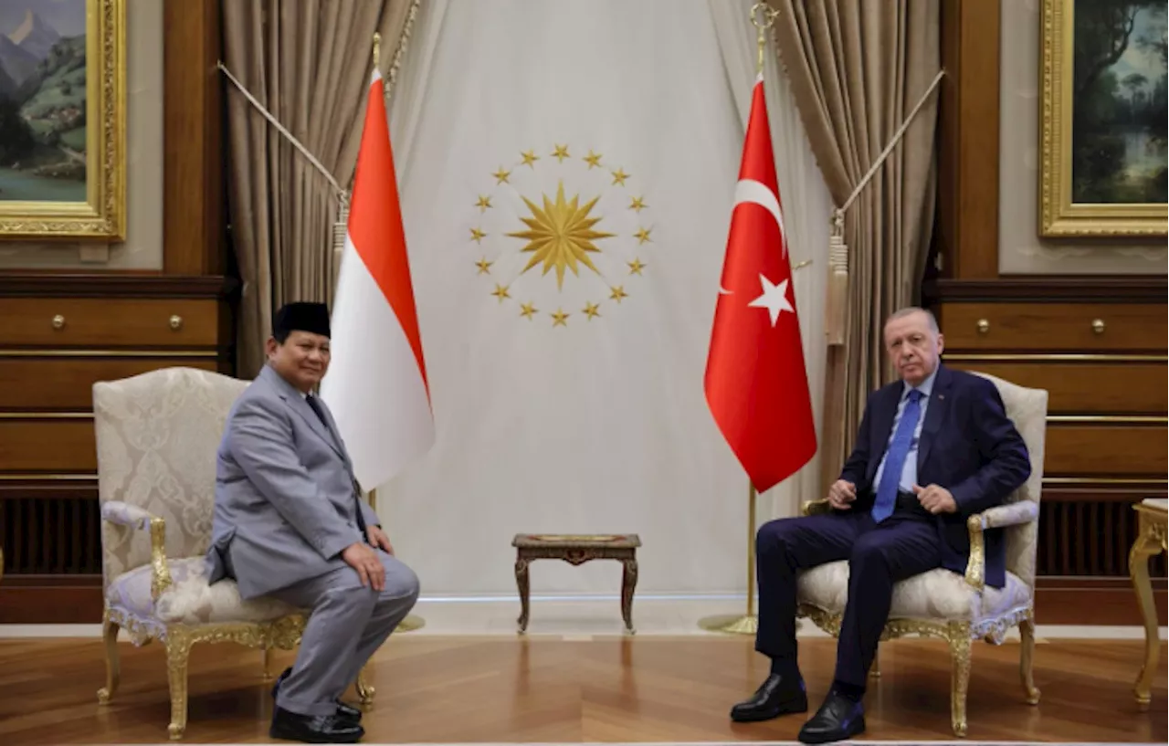 Temui Presiden Erdogan, Menhan Prabowo Bahas Kerja Sama Pertahanan RI