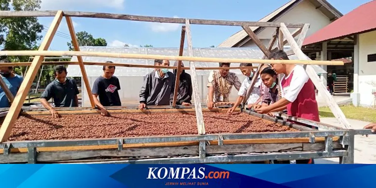 Spesialnya Cokelat Jembrana Bali, Salah Satu Cokelat Terbaik Dunia