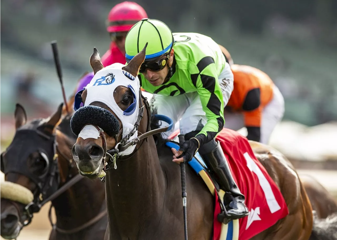 Horse racing notes: Del Mar feature race spotlights Shady Tiger