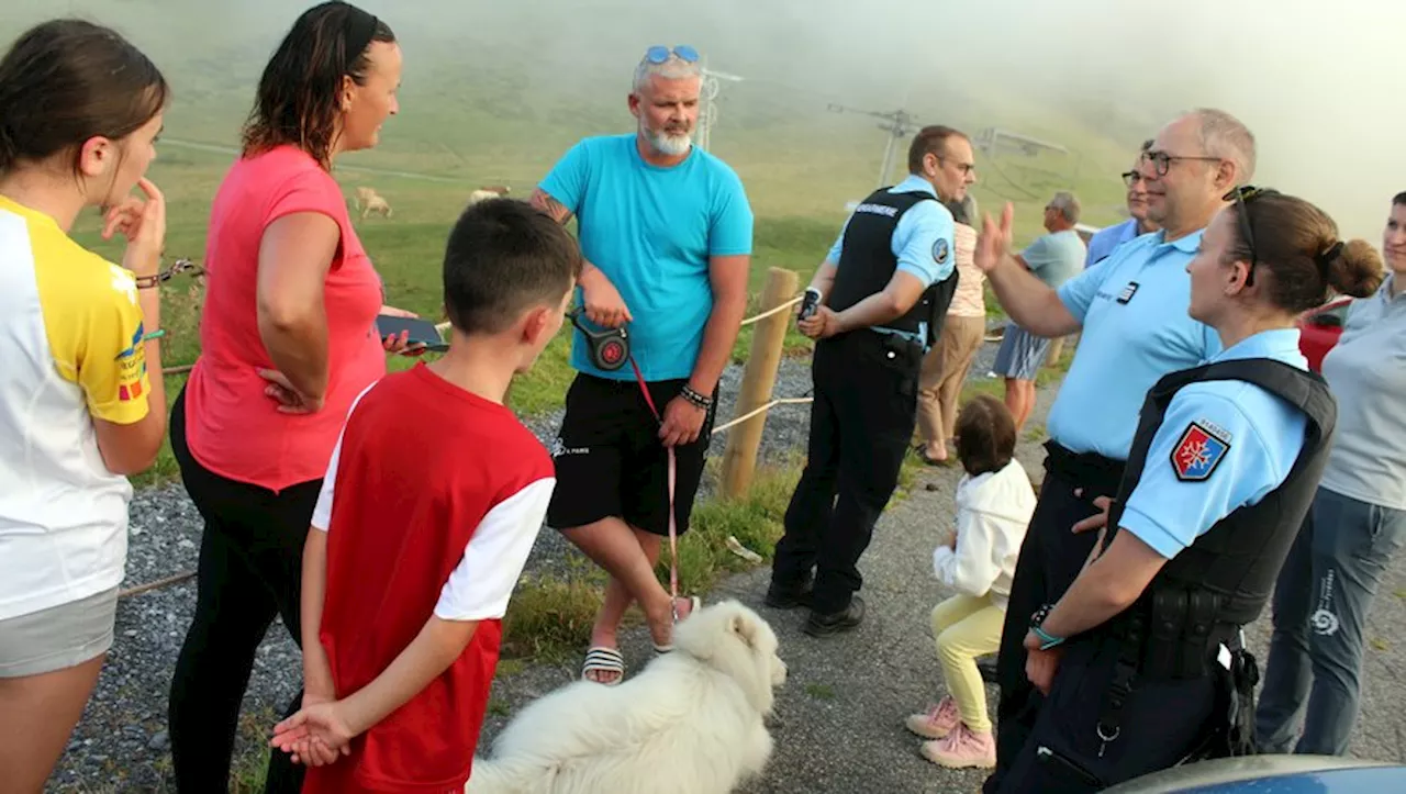 Face aux chiens errants dans les Pyrénées, les autorités montrent les crocs