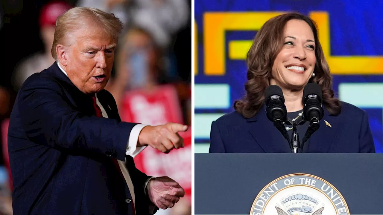 'Is she black or Indian?': Trump questions Harris' racial identity