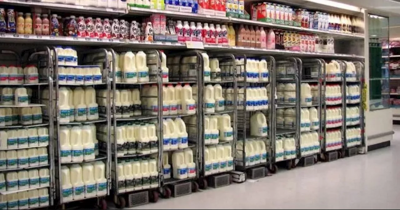 Sainsbury's, Tesco and Asda shoppers who keep milk in fridge 'warned'