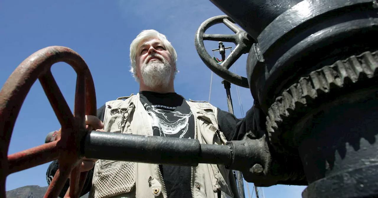 Arrestation de Paul Watson au Groenland : le Japon demande au pays l’extradition du militant