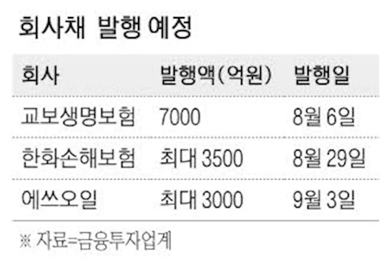 금리 인하 기대감 … 자금조달 채비나선 기업