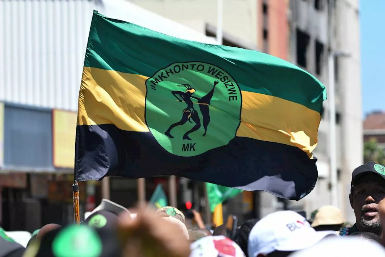 ANC suffers ongoing harm from MK party’s logo and name, court hears