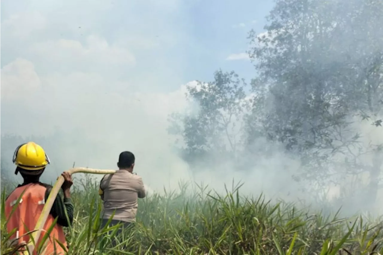 38 Titik Panas Terpantau di Bangka Belitung, Diduga Kuat Karhutla