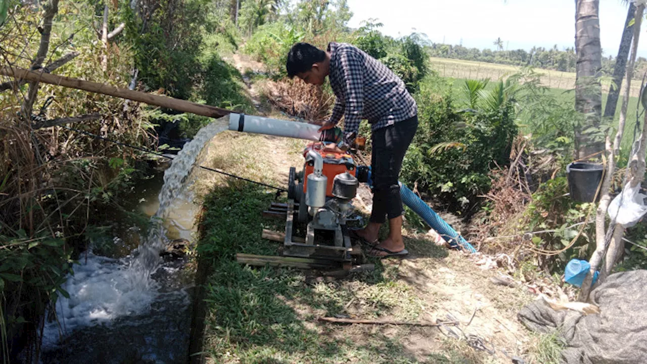 Dilanda Kekeringan, Sawah di Kabupaten Cirebon Butuh Pompa Air