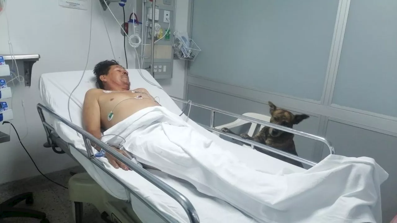 Historia de Amor y Lealtad: Jovany y su perro en el Hospital General de Medellín