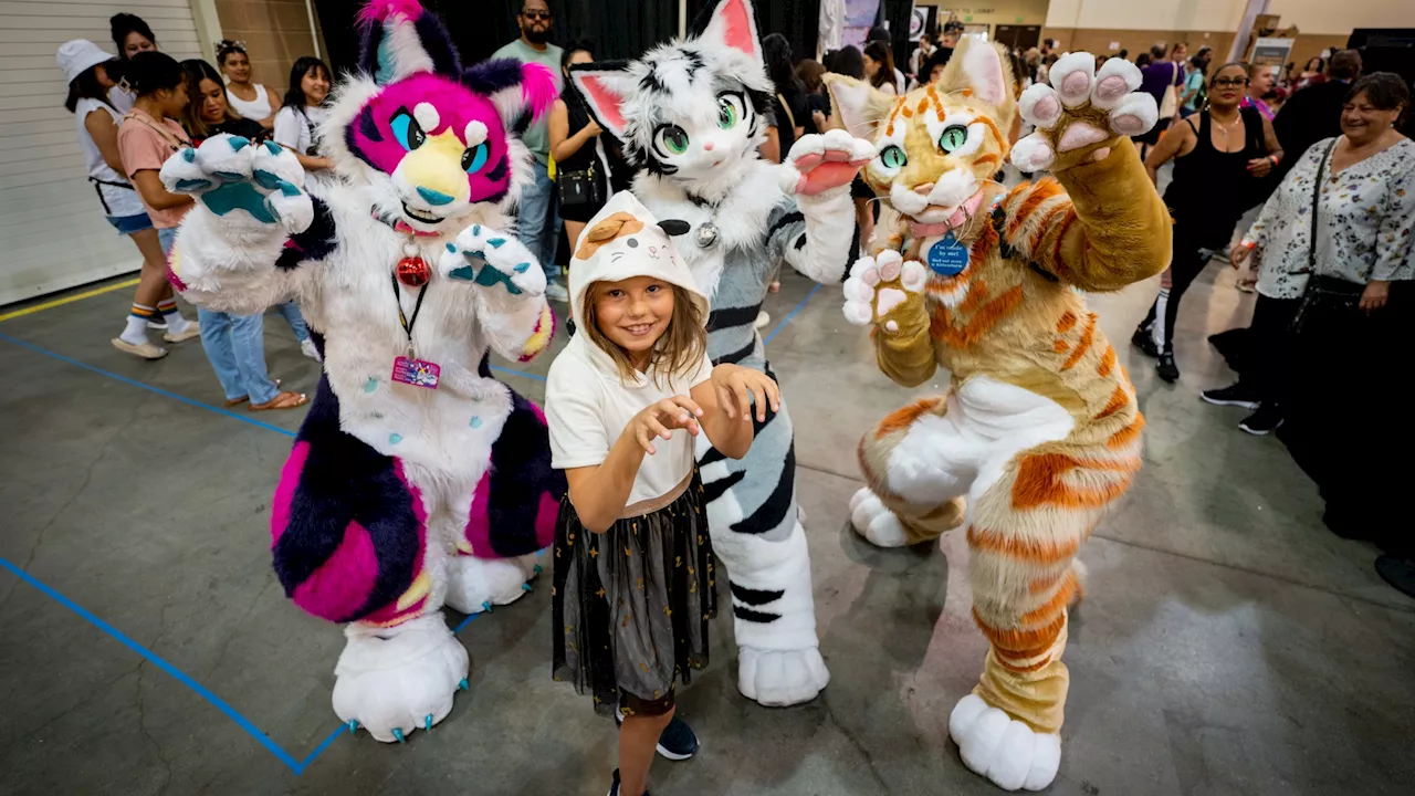 Things to do this weekend: CatCon 2024