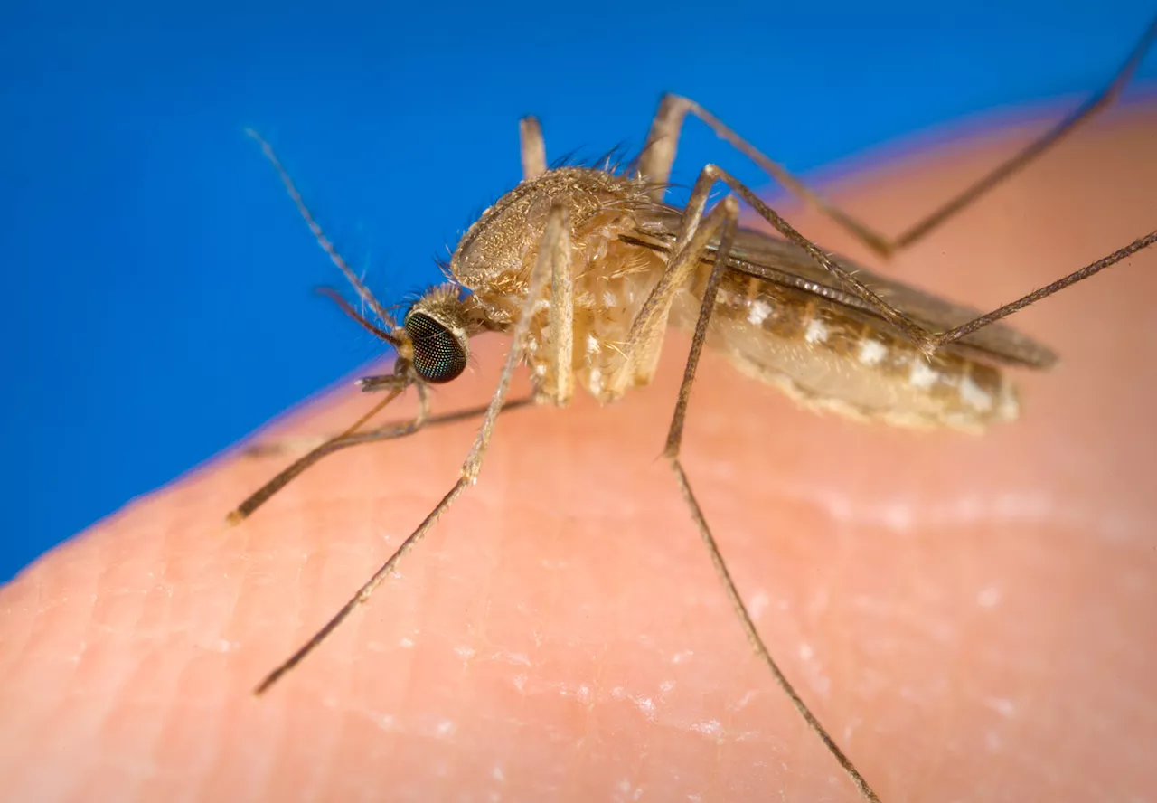 New Jersey reports first cases of West Nile Virus this year