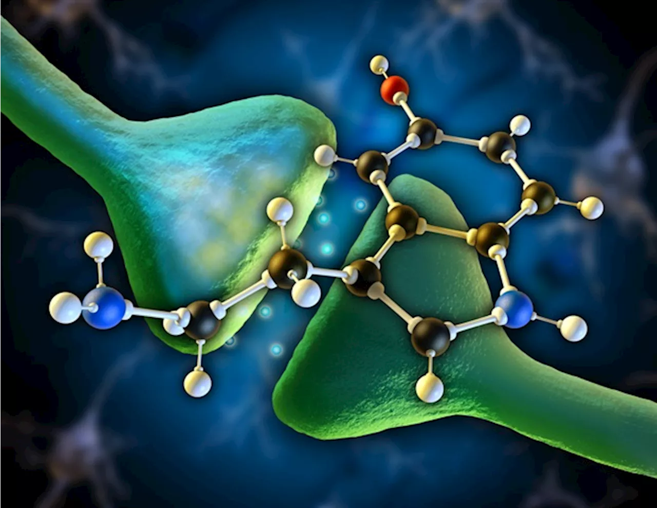 Study reveals serotonin's role in ependymoma tumor growth