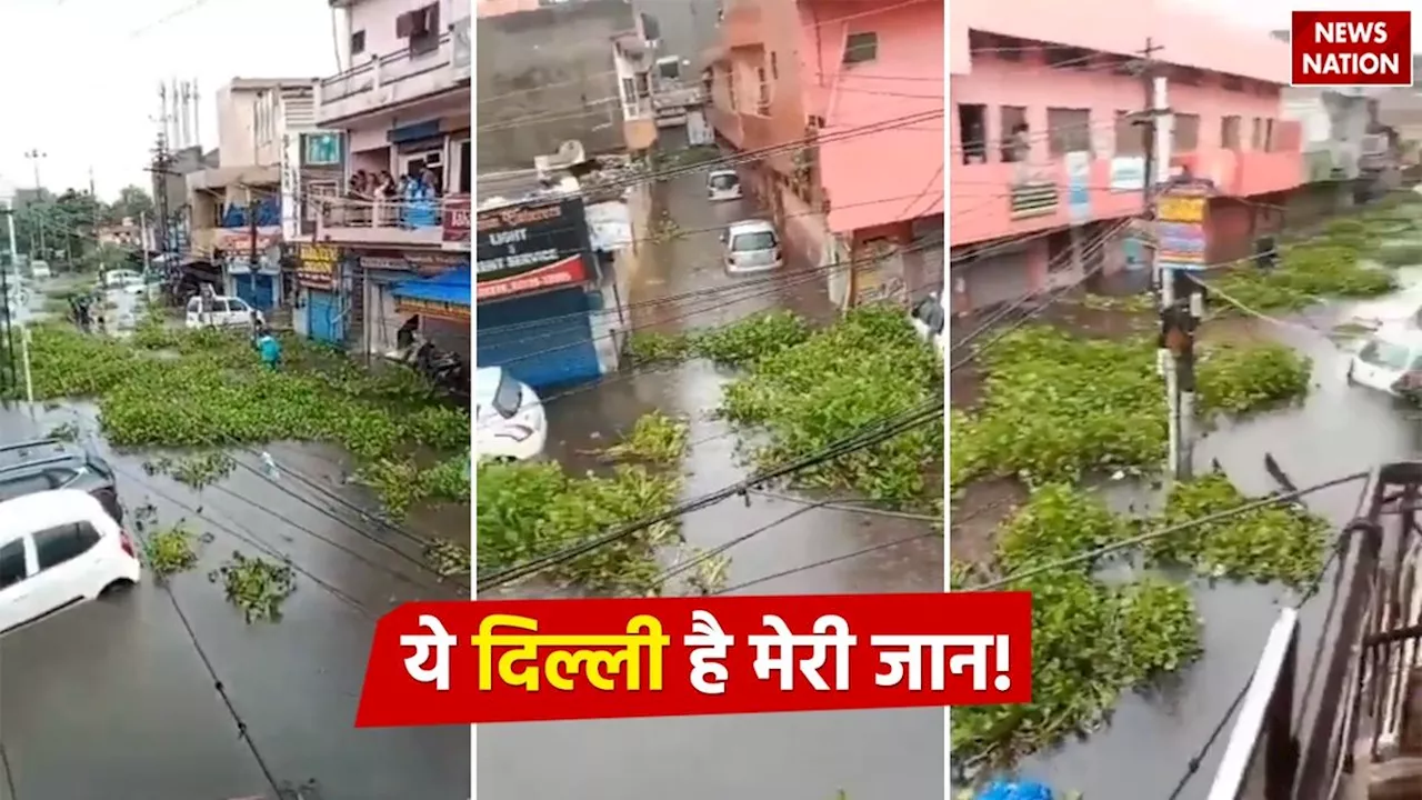 Delhi Rain Viral Video : तौबा-तौबा! ये तो दिल्ली है मेरी जान...कुछ अलग और कुछ हटके, देखें वीडियो