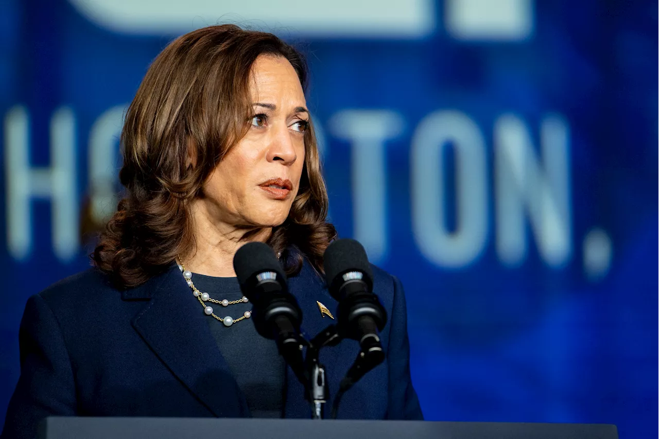 MAGA Doubles Down on Saying Kamala Harris 'Is Not Black'