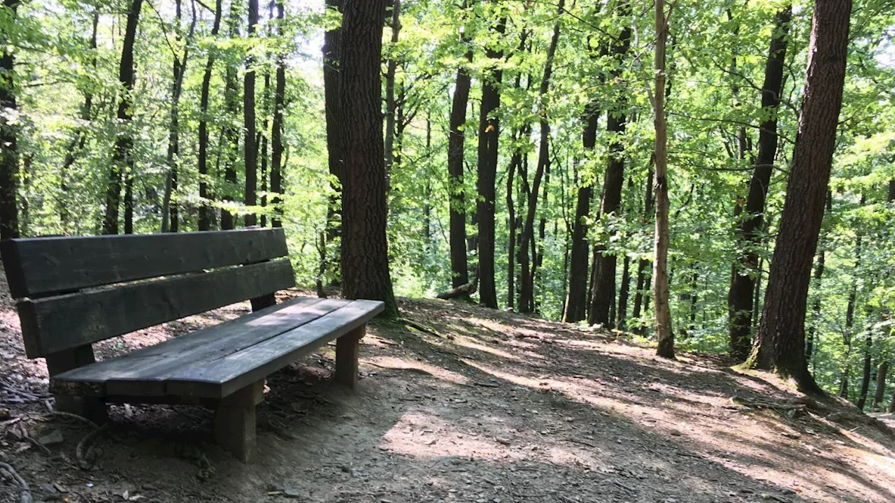 Naturpark Purkersdorf ruft zur Mitgestaltung auf