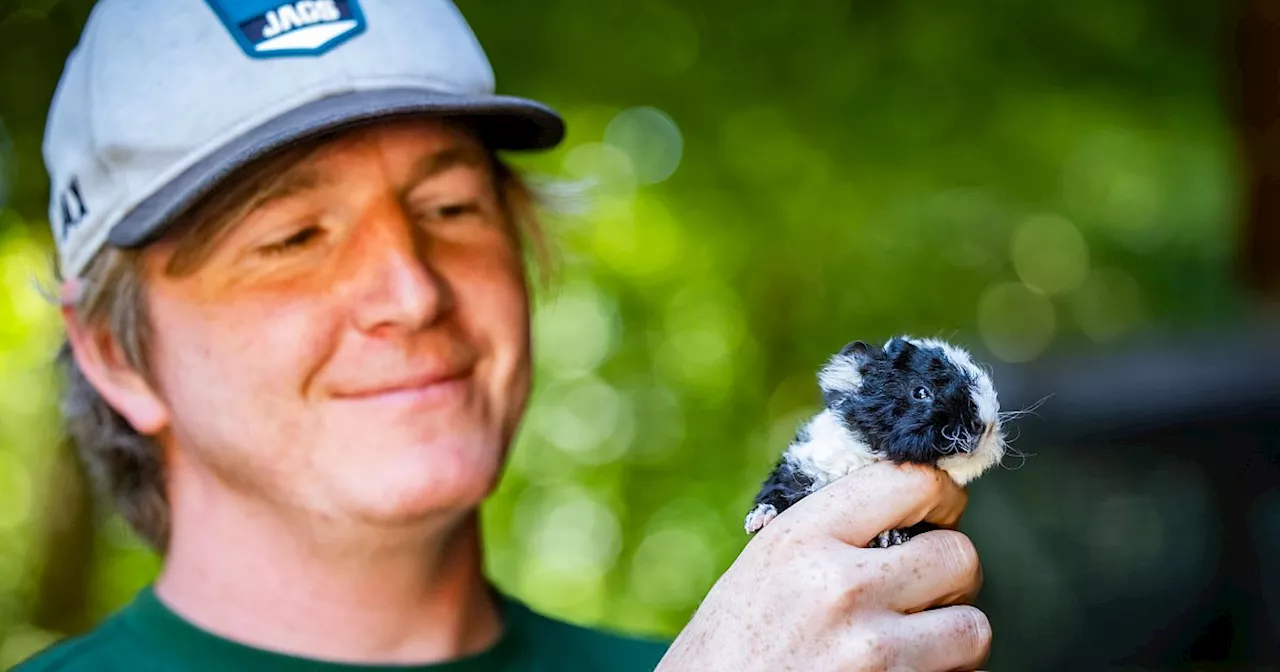 Aufregung im Tierpark Olderdissen: Besucher finden totes Tier, Tierpark-Chef klärt auf