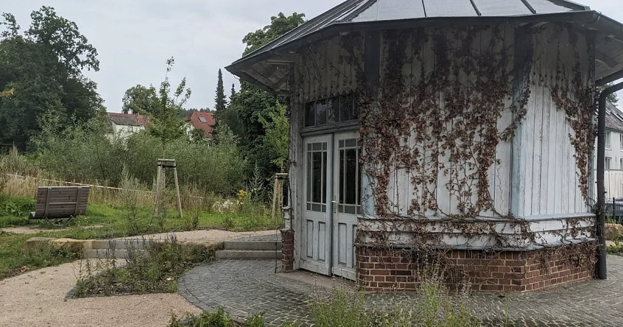 Gerichtsverfahren zwischen Graf und Stadt Bad Driburg erregt die Gemüter