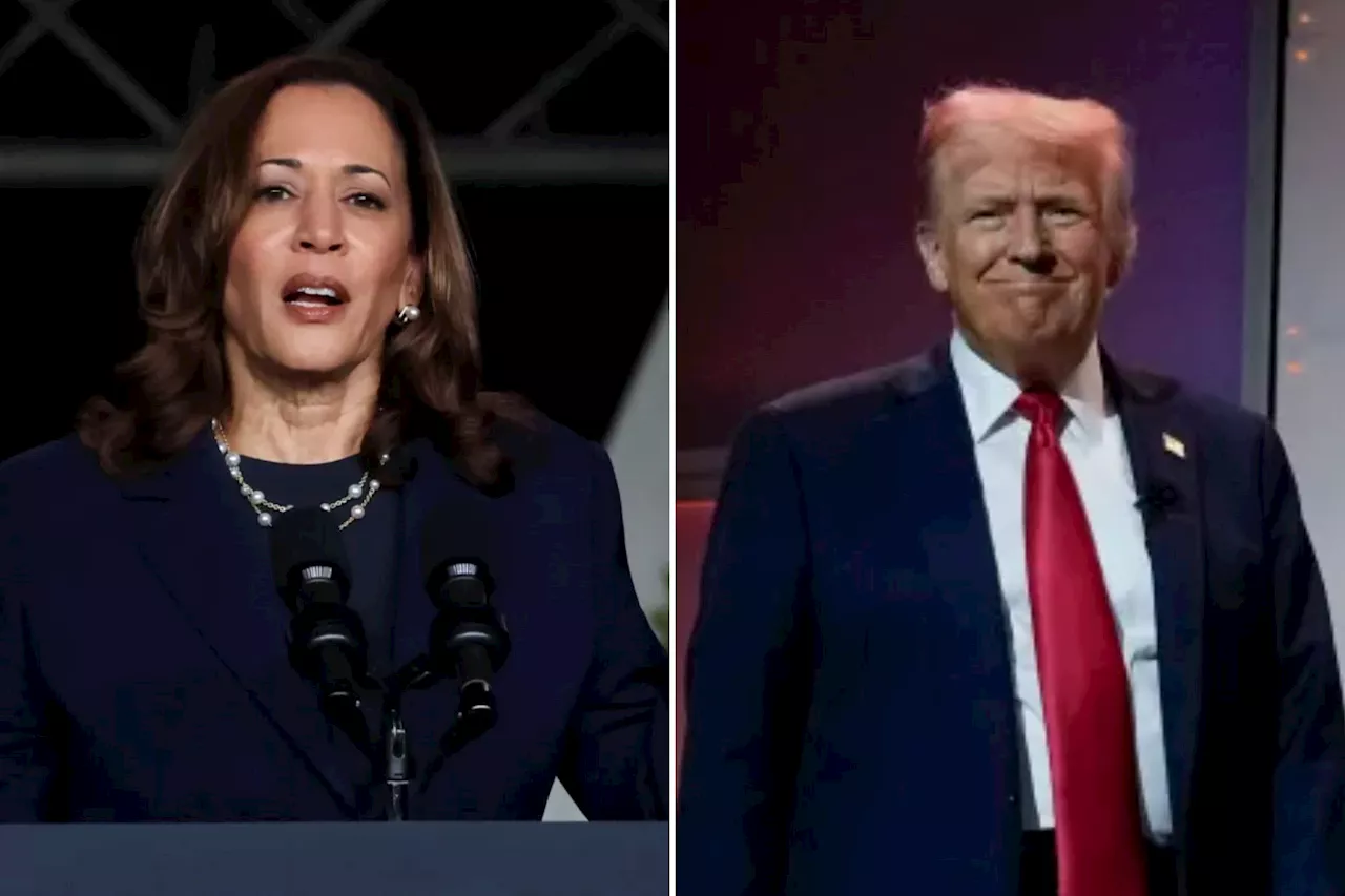 Kamala Harris responds to Trump's remarks at black journalists event: 'Same old show'