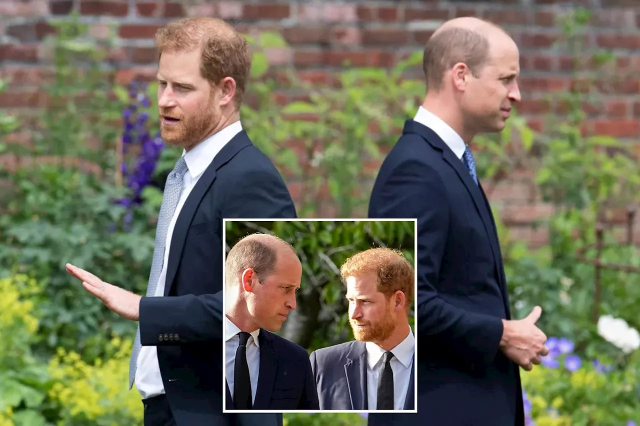 Prince Harry and Prince William's 'very bad' rift is 'not irreparable': report