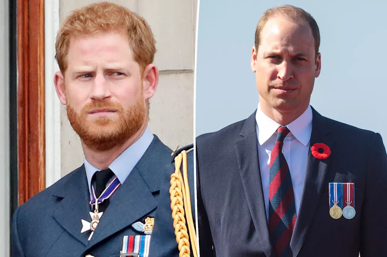 Prince William and Prince Harry's falling-out is 'very bad' — but not 'irreparable': report