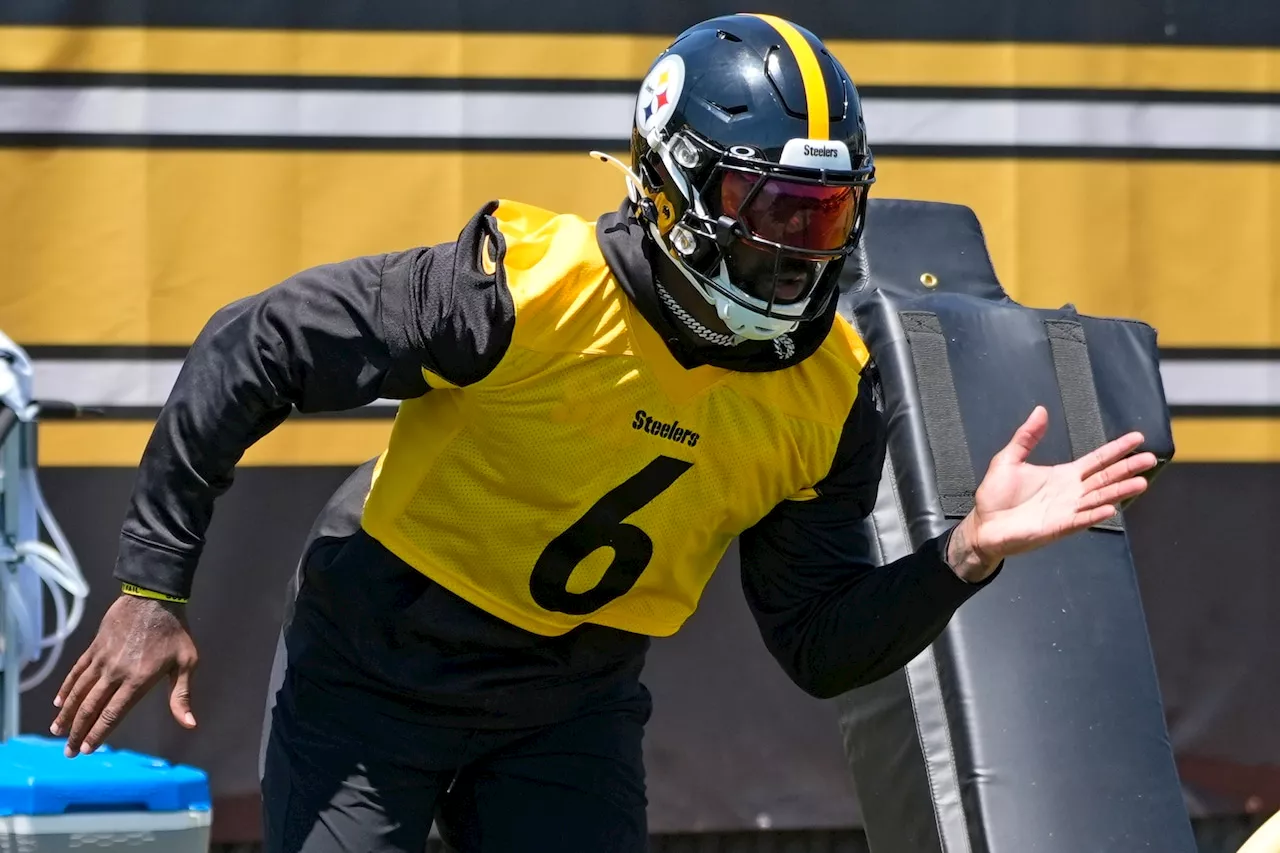 Ex-Steelers CB trades barbs with Steelers LB Patrick Queen