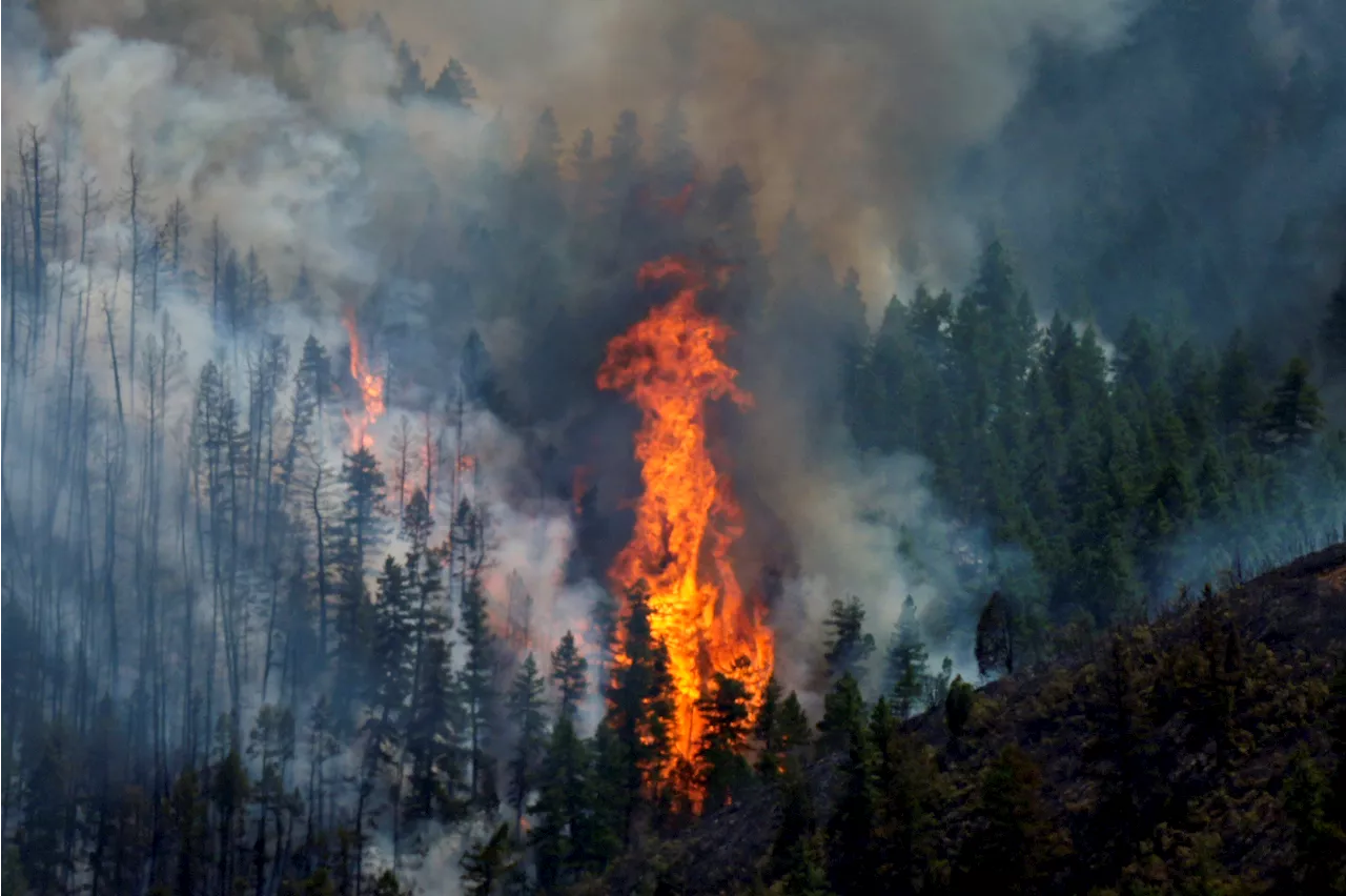 Wildfires encroach on homes near Denver as heat hinders fight