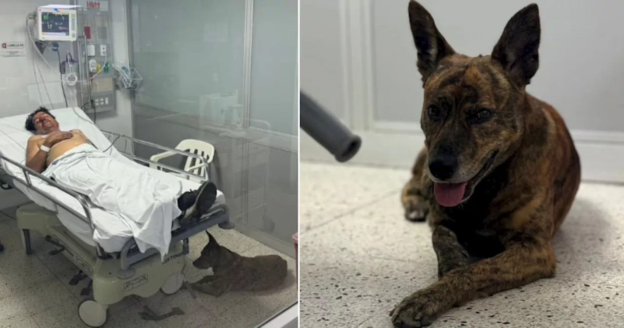 “Jovany y Jack son inseparables”: Hospital General de Medellín permitió que paciente estuviera con su perro