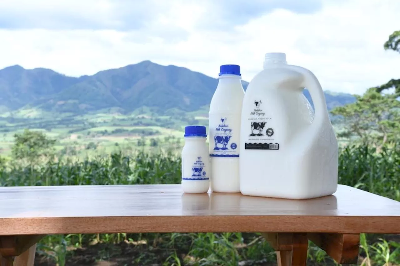 Metro Pacific expands dairy business with Bukidnon Milk Company