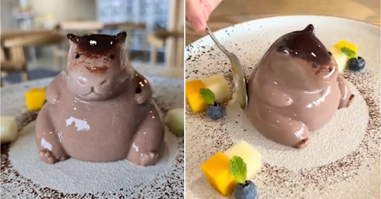 Check Out This SS15 Dessert Shop With The Cutest, Jiggly Chocolate Capybara Pudding