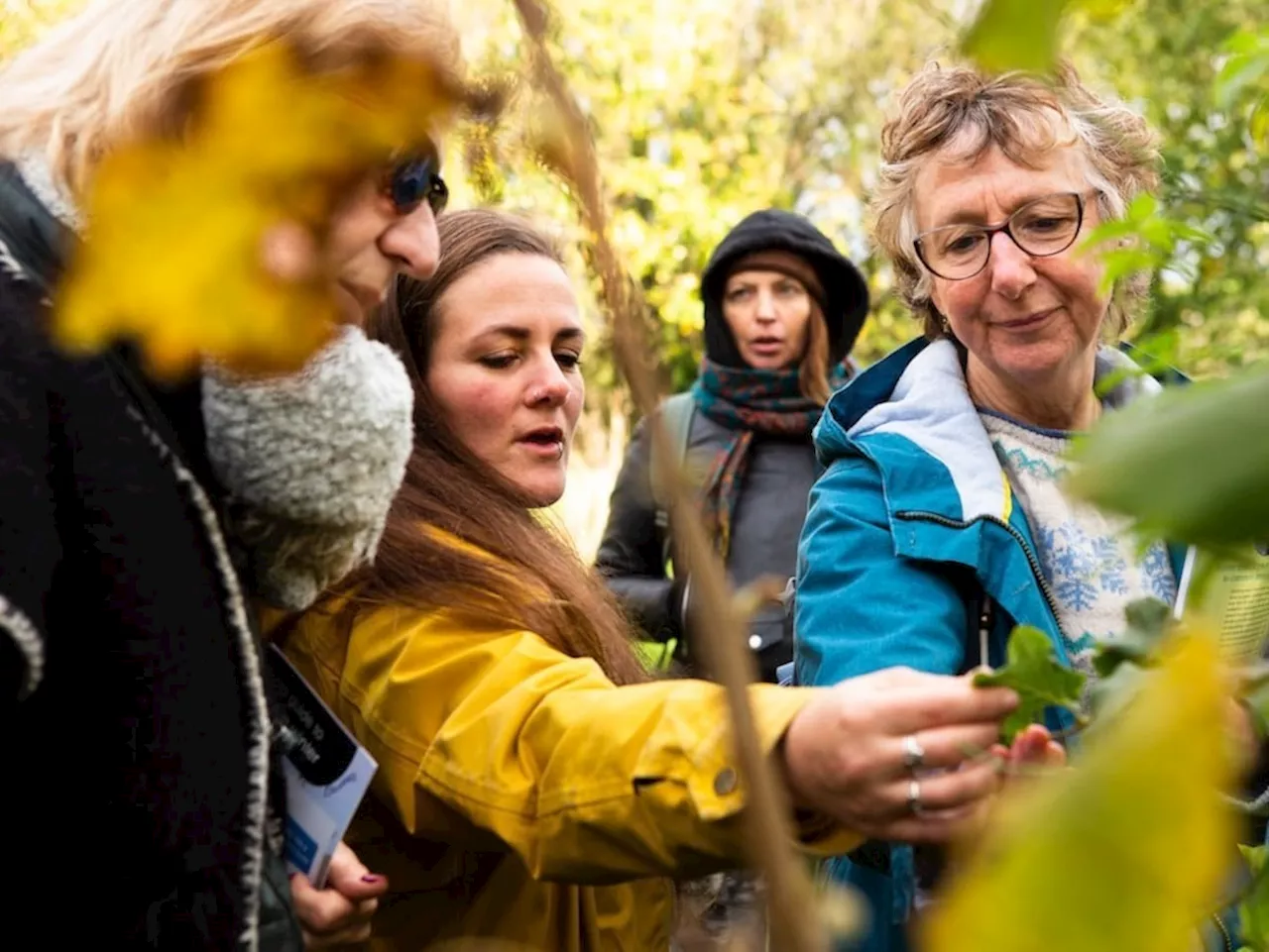 'Citizen scientists' make key contribution to biodiversity data