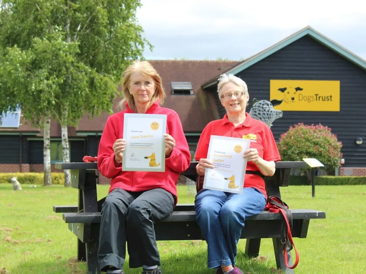 Volunteers celebrate an incredible 50 years of helping rehome dogs