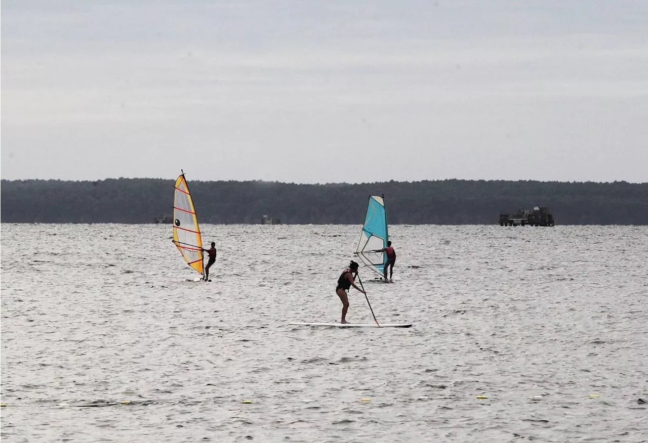 Grands Lacs : baignade interdite sur plusieurs plages en raison de cyanobactéries