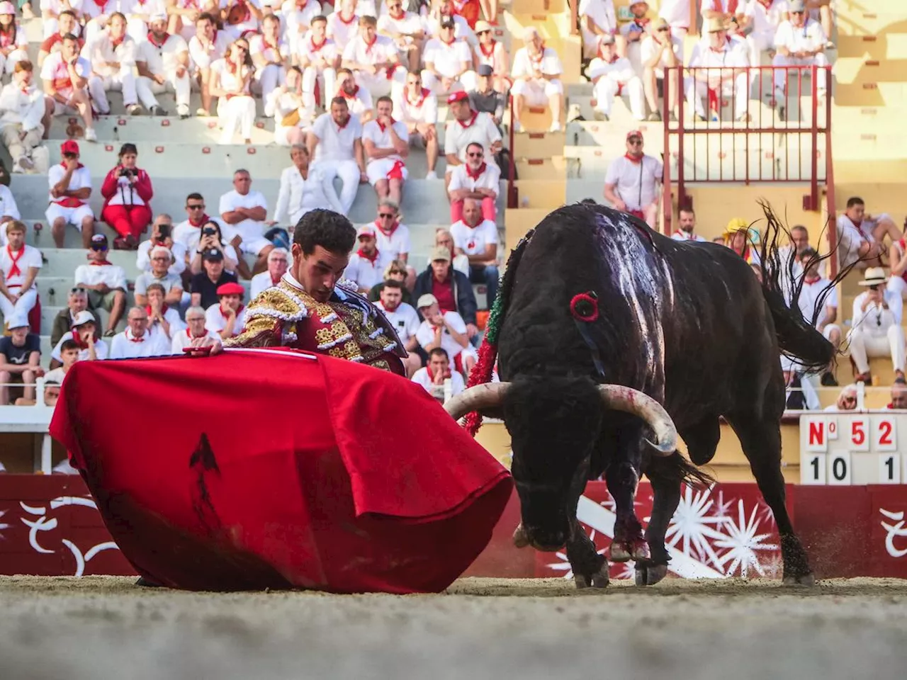 [Supp Dax] Quatrième corrida de la feria de Dax 2024 : la mémoire d’Adrián