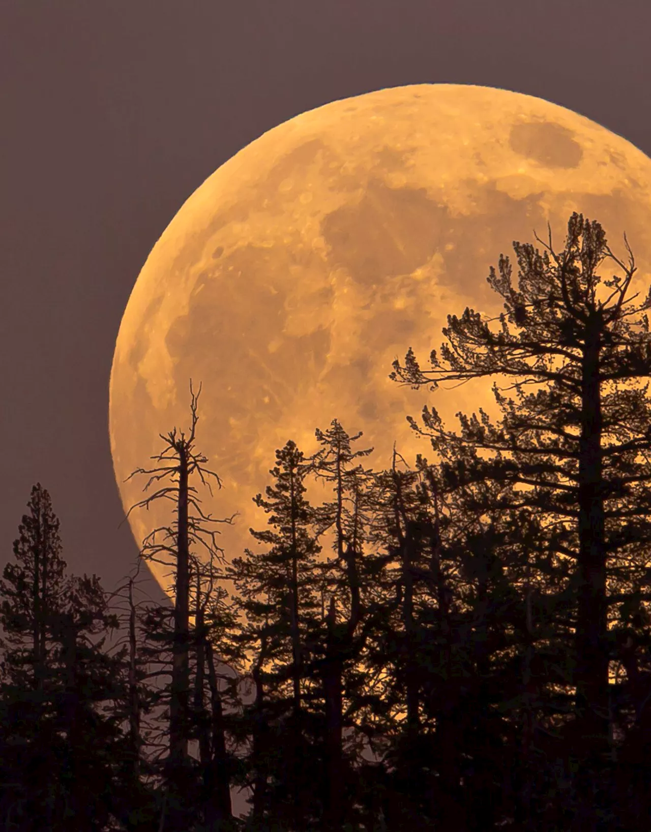 Superlua e a melhor chuva de meteoros do ano iluminam o céu de agosto