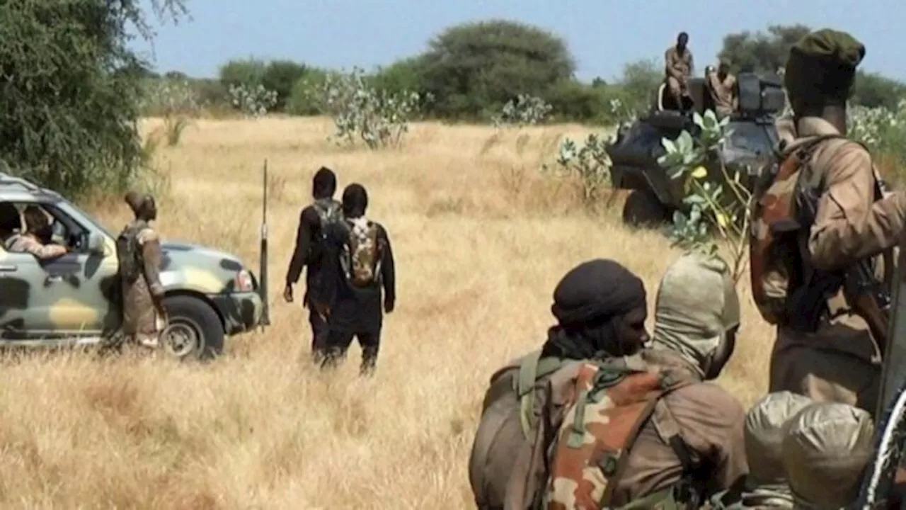 Four killed as ‘Boko Haram members infiltrate’ protest in Borno