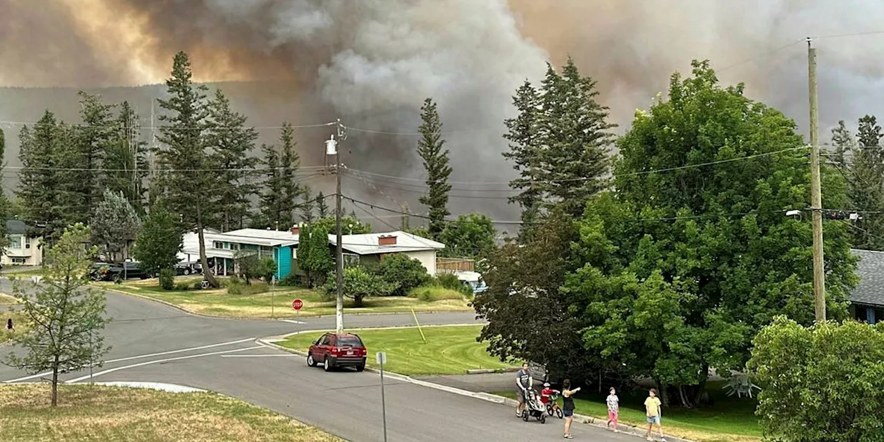 Will logging more in healthy forests reduce wildfire risk?