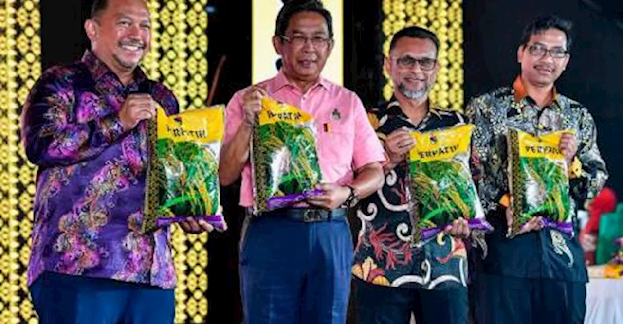 Negeri Sembilan introduces ‘Perpatih’ rice to meet local needs