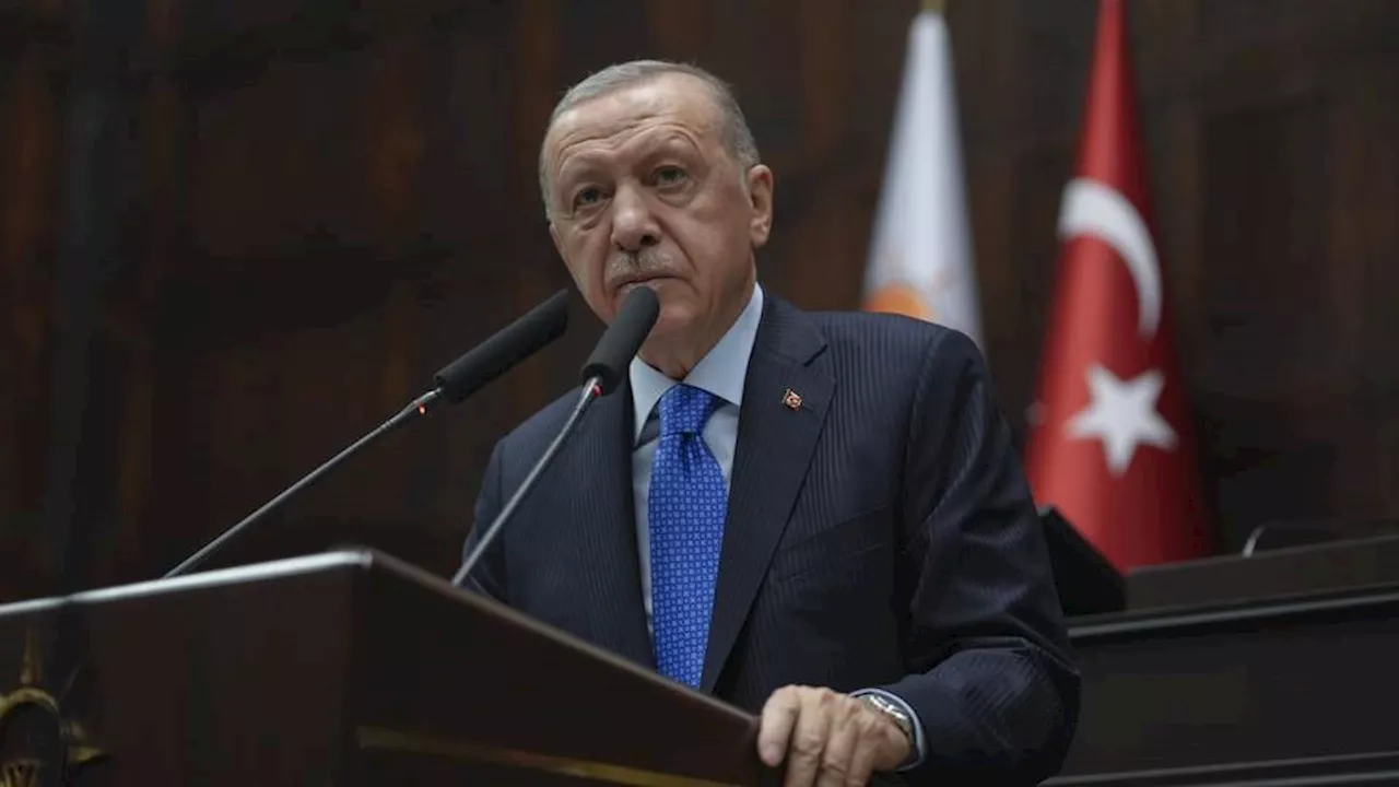 Israel does not want ceasefire in Gaza, President Erdogan tells Biden