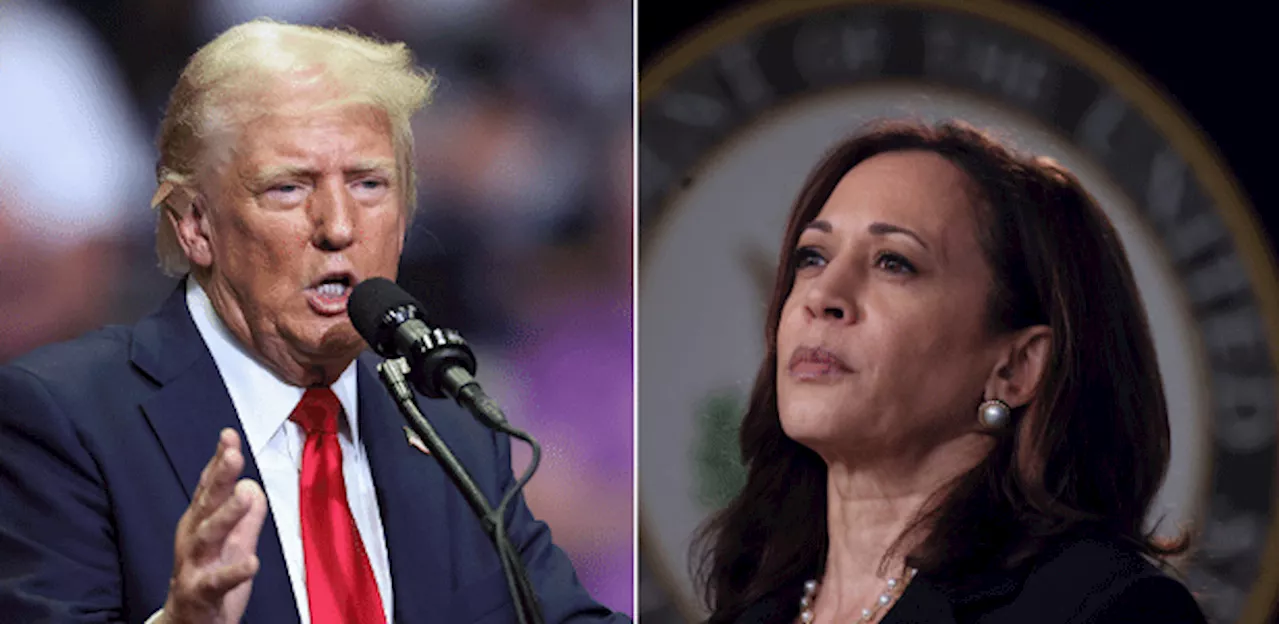 Casa Branca diz que Trump sugerir que Harris se tornou negra é 'insulto'