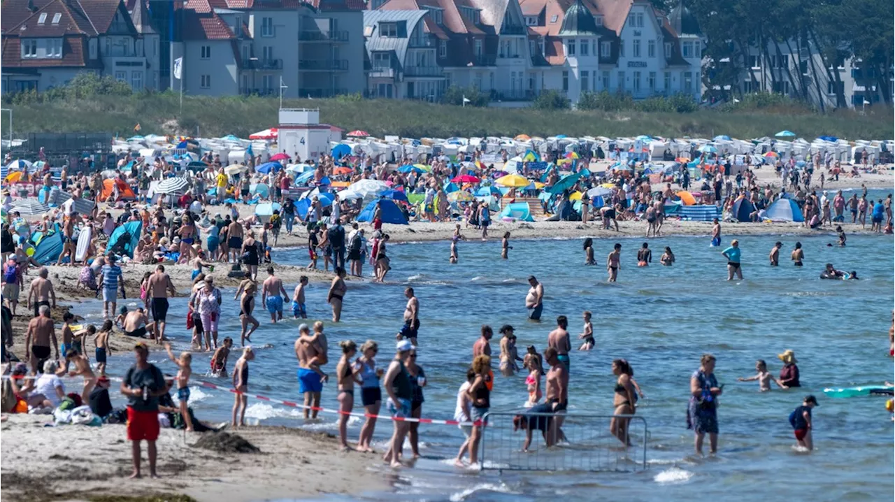 Vibrionen in der Ostsee: Bakterien können Touristen gefährlich werden