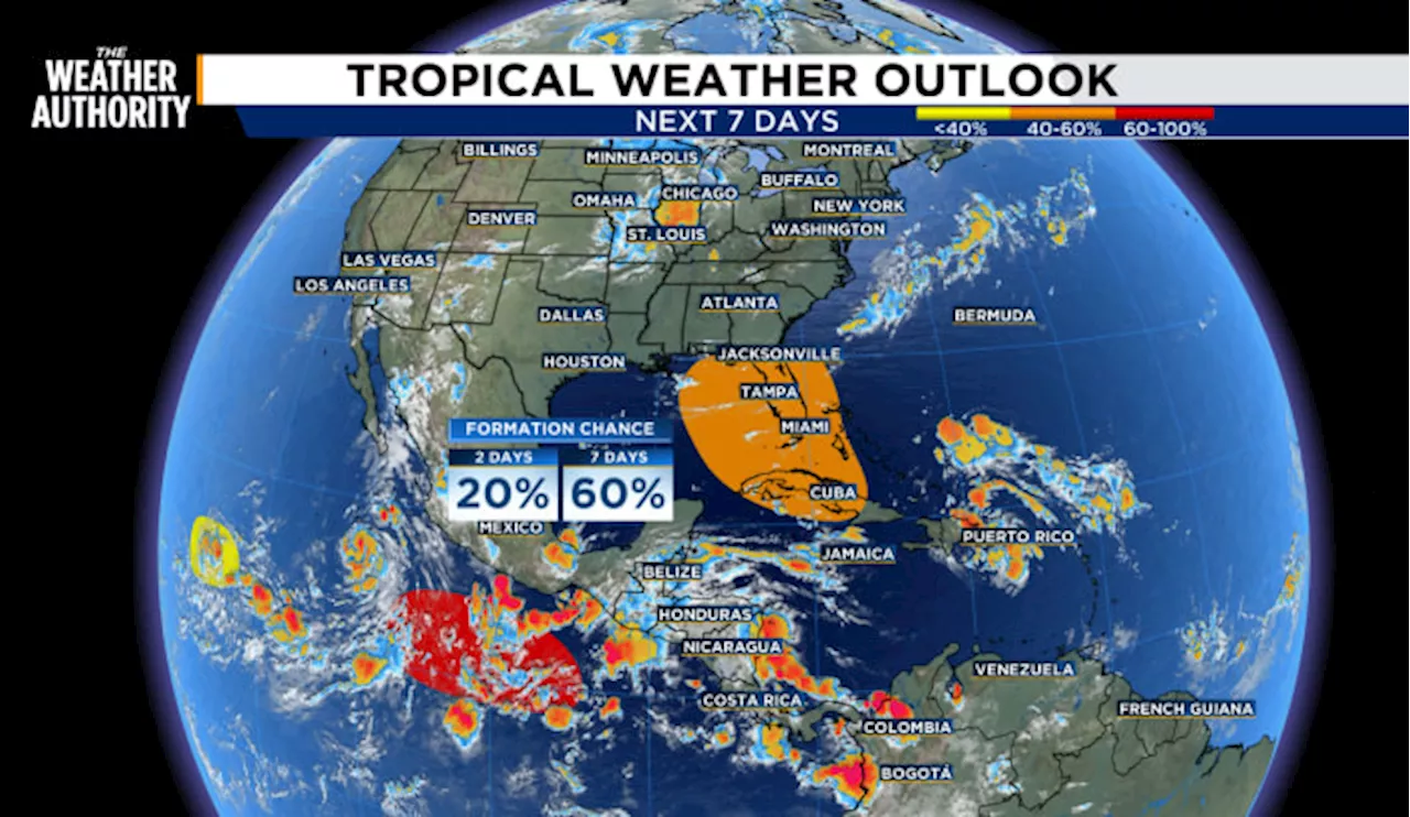 The latest updates on tropical weather and your Thursday forecast