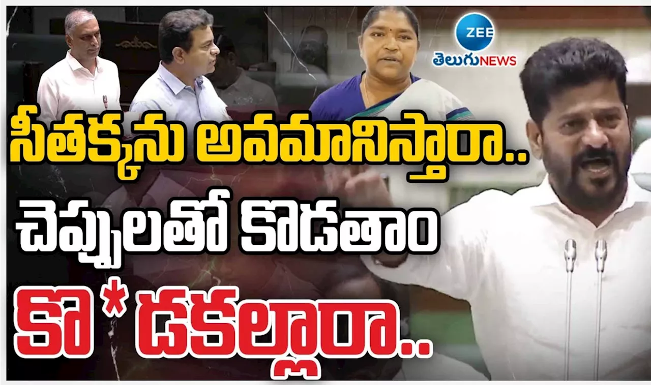 Revanth Reddy: భావోద్వేగానికి లోనైన రేవంత్‌ రెడ్డి.. సీతక్కపై మీమ్స్‌పై కన్నీటిపర్యంతం