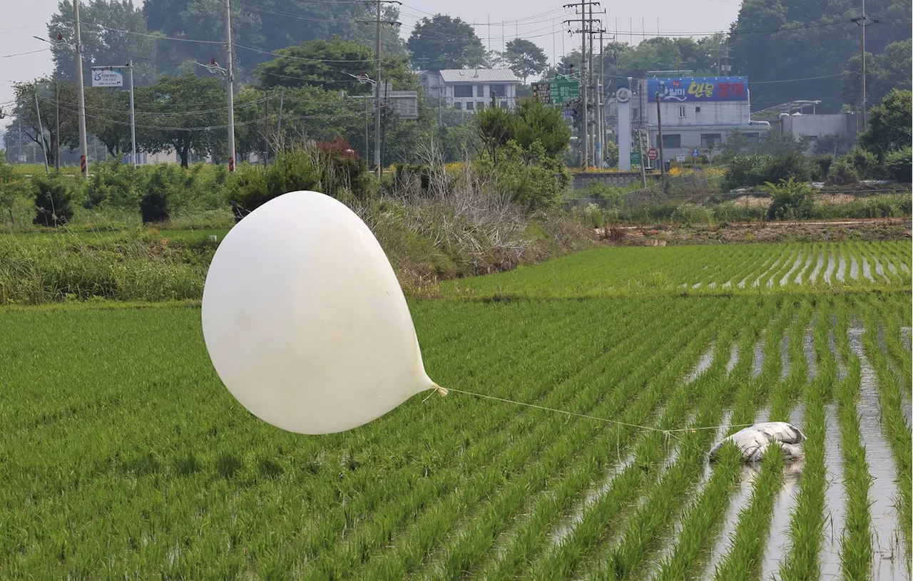 Corée du Nord : Pyongyang envoie de nouveaux ballons chargés de déchets vers la Corée du Sud