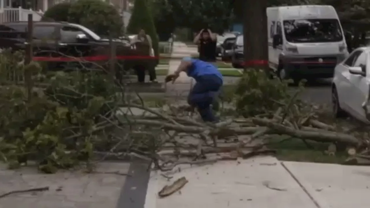 Debby brings down hundreds of trees, knocks down power lines across Tri-State