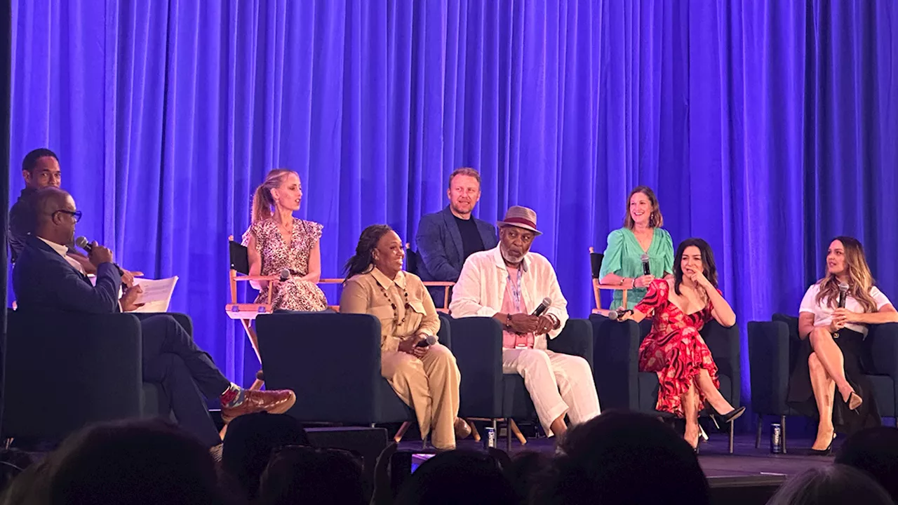 'Grey's Anatomy' cast reminisces at D23 about last 20 years, teases shocking moments in new season