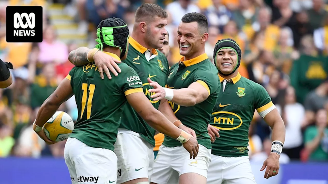 Springboks defeat Wallabies 33-7 in Rugby Championship at Lang Park