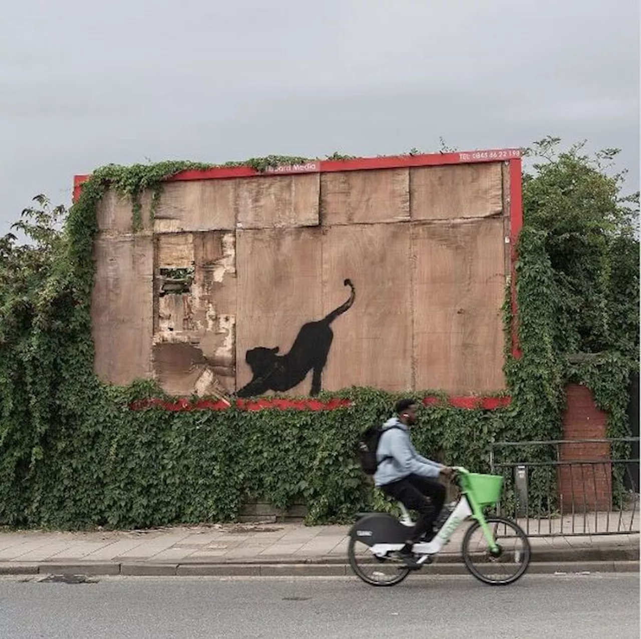 Banksy, nel sesto giorno spunta la Leonessa Incatenata