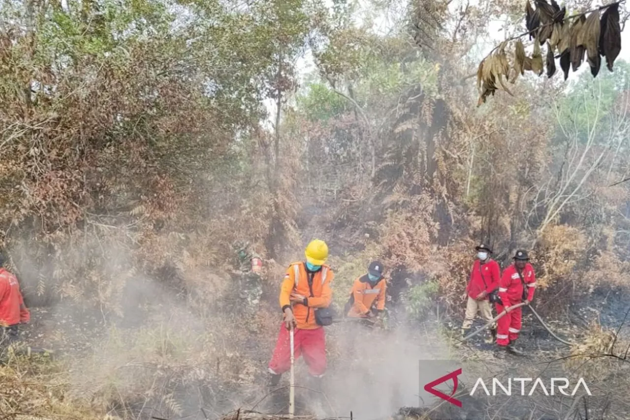 Tim gabungan padamkan karhutla yang terjadi di Palangka Raya