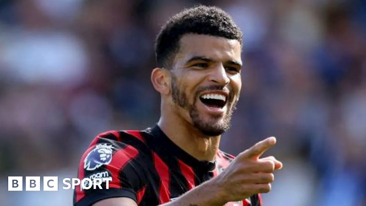 Dominic Solanke transfer: Why are spurs spending big on Bournemouth striker?..