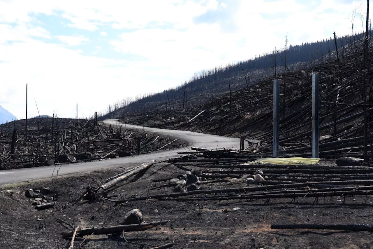 Jasper's tourism workers face uncertain future after the fire